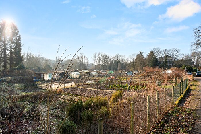 Koop en Huur Huizen - 3
