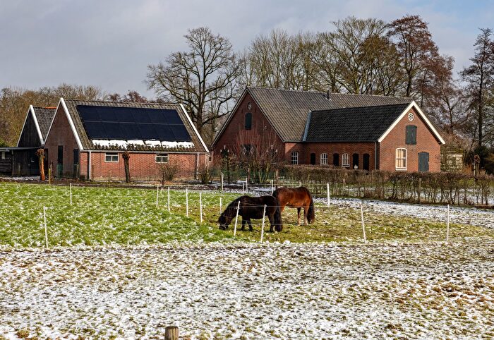 Koop en Huur Huizen - 2