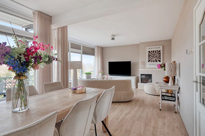 3-kamerappartement te koop in Schildersbuurt, Schiedam