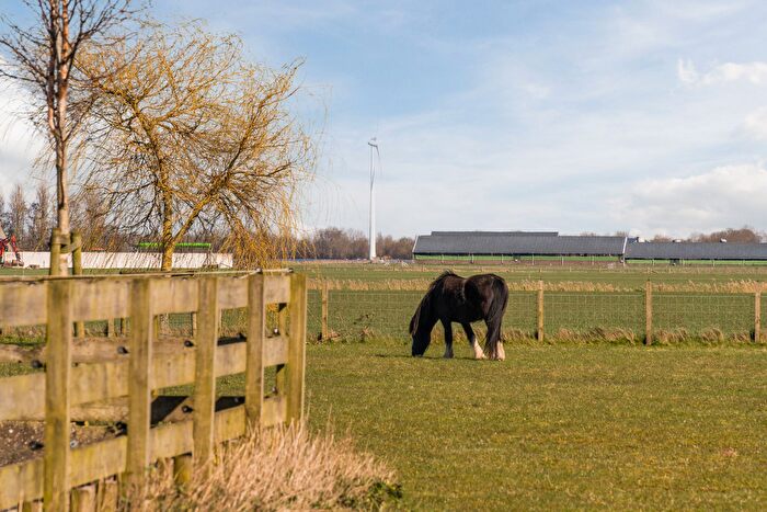 Koop en Huur Huizen - 3