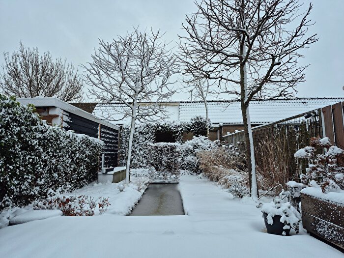 Koop en Huur Huizen - 3