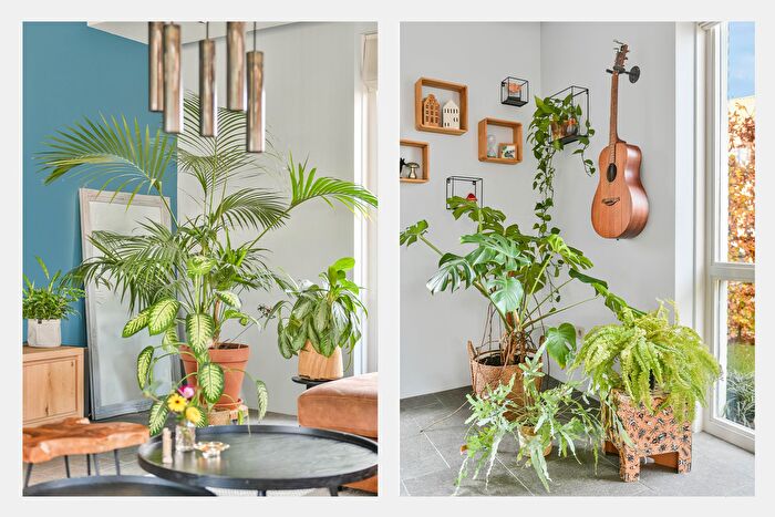 Koop en Huur Huizen - 3