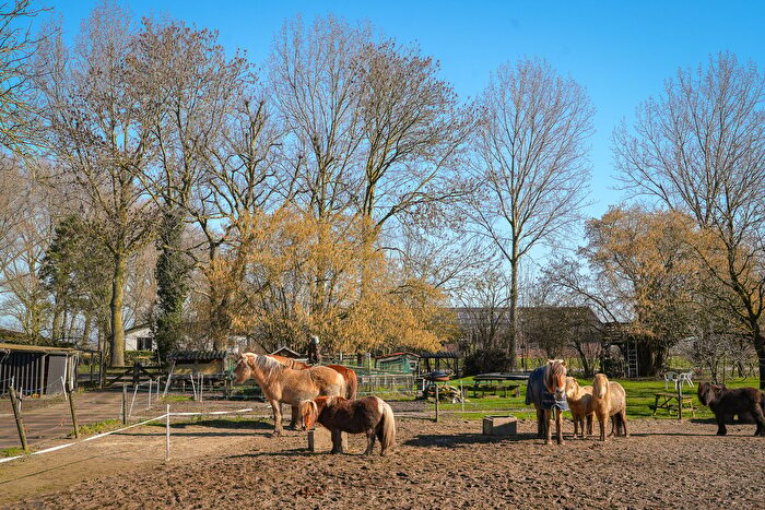 Koop en Huur Huizen - 3