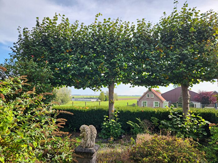 Koop en Huur Huizen - 3