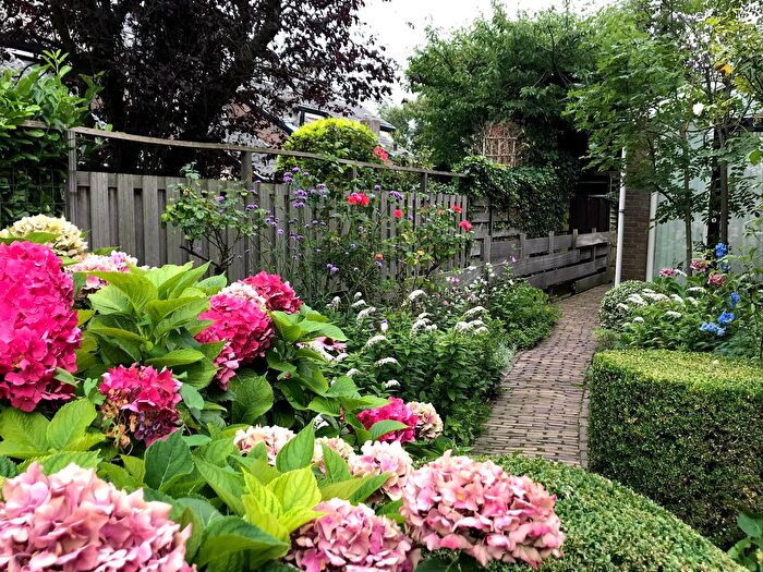 Koop en Huur Huizen - 3