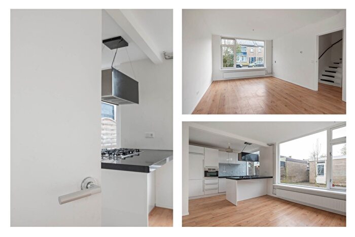 Koop en Huur Huizen - 3
