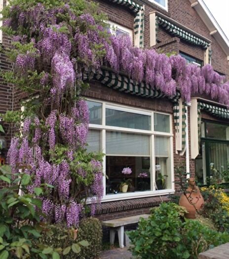 5-kamerhuis te huur in Voorburg Oud noord, Voorburg