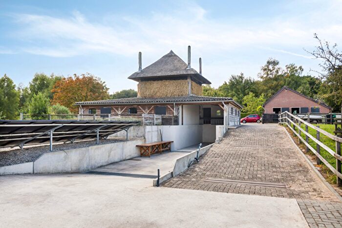 Koop en Huur Huizen - 2