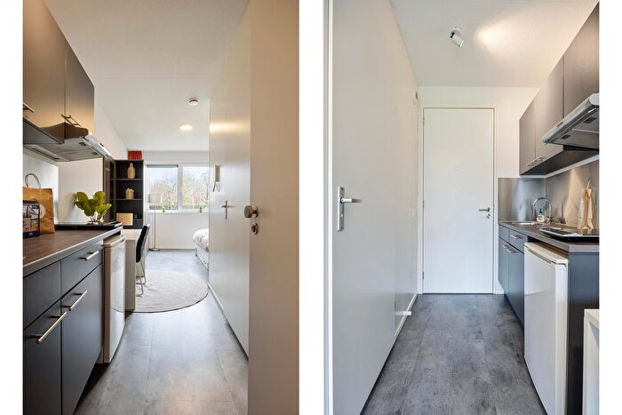 Koop en Huur Huizen - 3